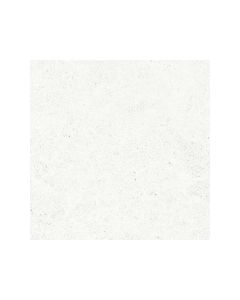 Piazza White 60 x 60